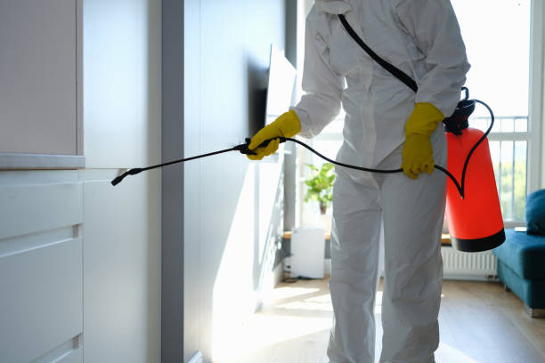 Best Mold Testing  in Homer, AK