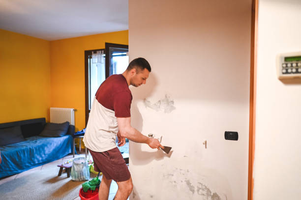 Best Affordable Mold Removal  in Homer, AK